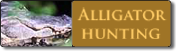 Alligator Hunting