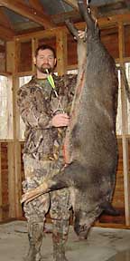 VA's Steven with his bow kill boar