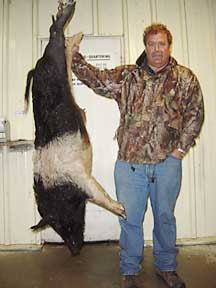 David with a big feral hog