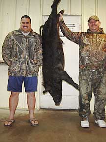 Robert with Steve and his 130lb boar