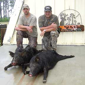 NC's Joe and Gene with River hogs