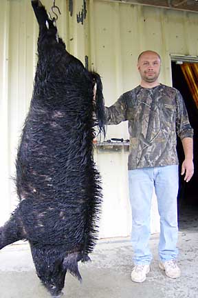 Rick from WV with his massive boar