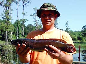 Anthony and a bowfin aka: mudfish