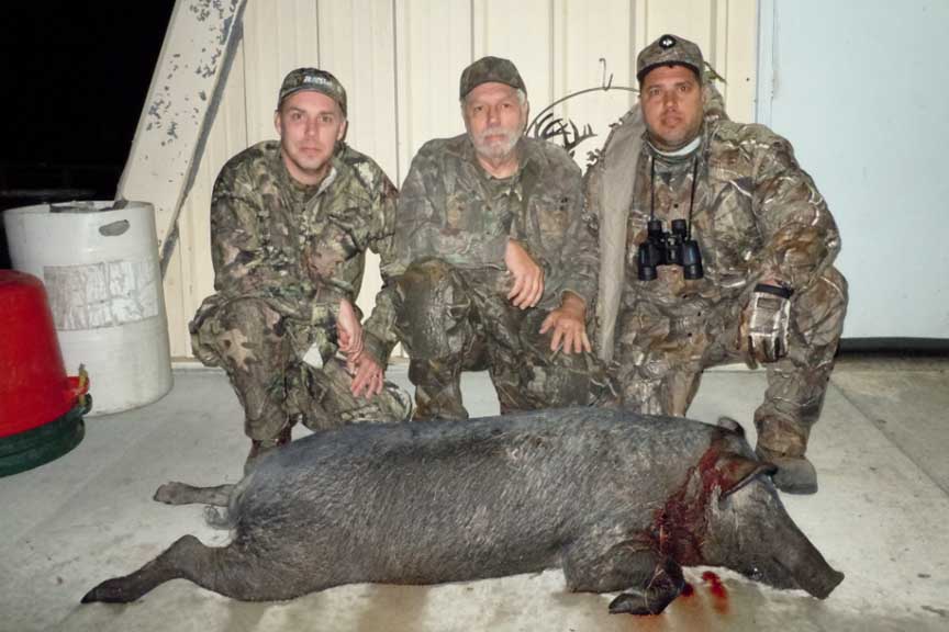 Doug, Tom and Tom Jr. with 188lb sow