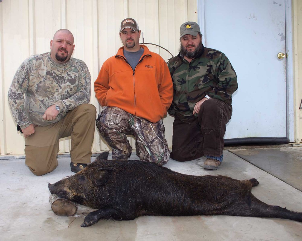 Randy, Joe and Gene with one tough boar