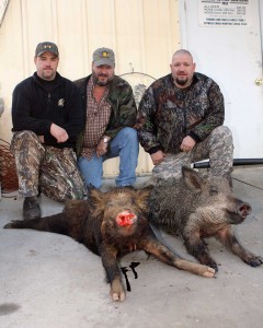 Joe, Gene and Randy with their 2 big boars
