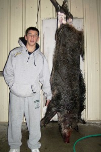 Johnnie with his good sow