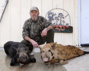 Kenny with two nice SC sows