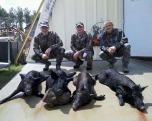 Pat, Tony and Harry with their one-day harvest