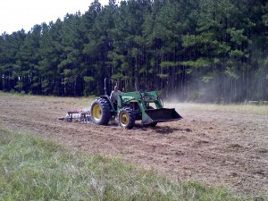 Danny on the tractor putting in our Fall plots