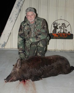 Bob and his huge 225lb sow