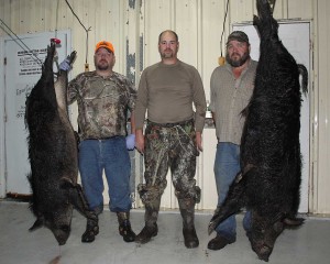 Randy, Joe and Gene with 2 monster lowcountry hogs