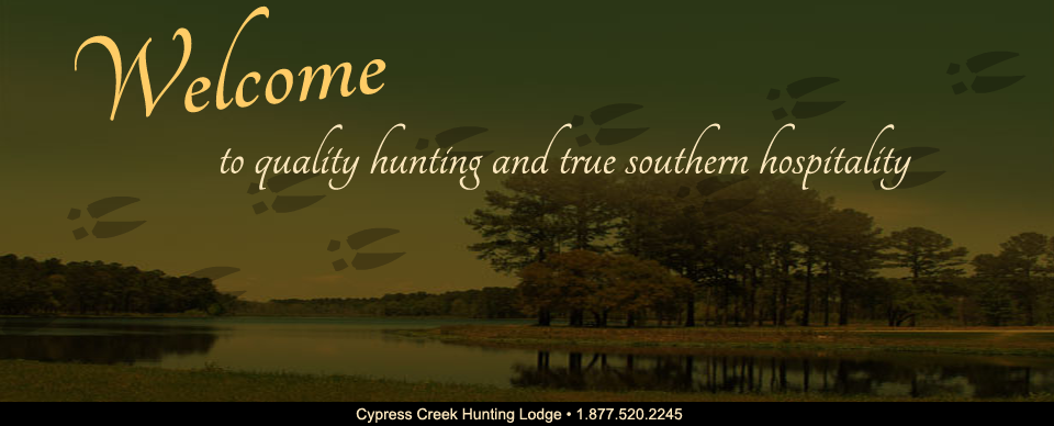 Welcome to Cypress Creek Hunting