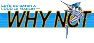 whyNotSportFishingLogo