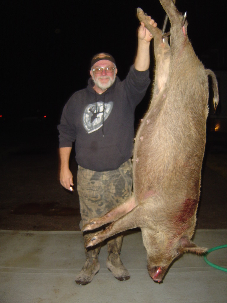 hog hunting