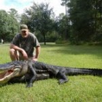 Aligator Hunting South Carolina