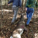 Deer Hunting South Carolina